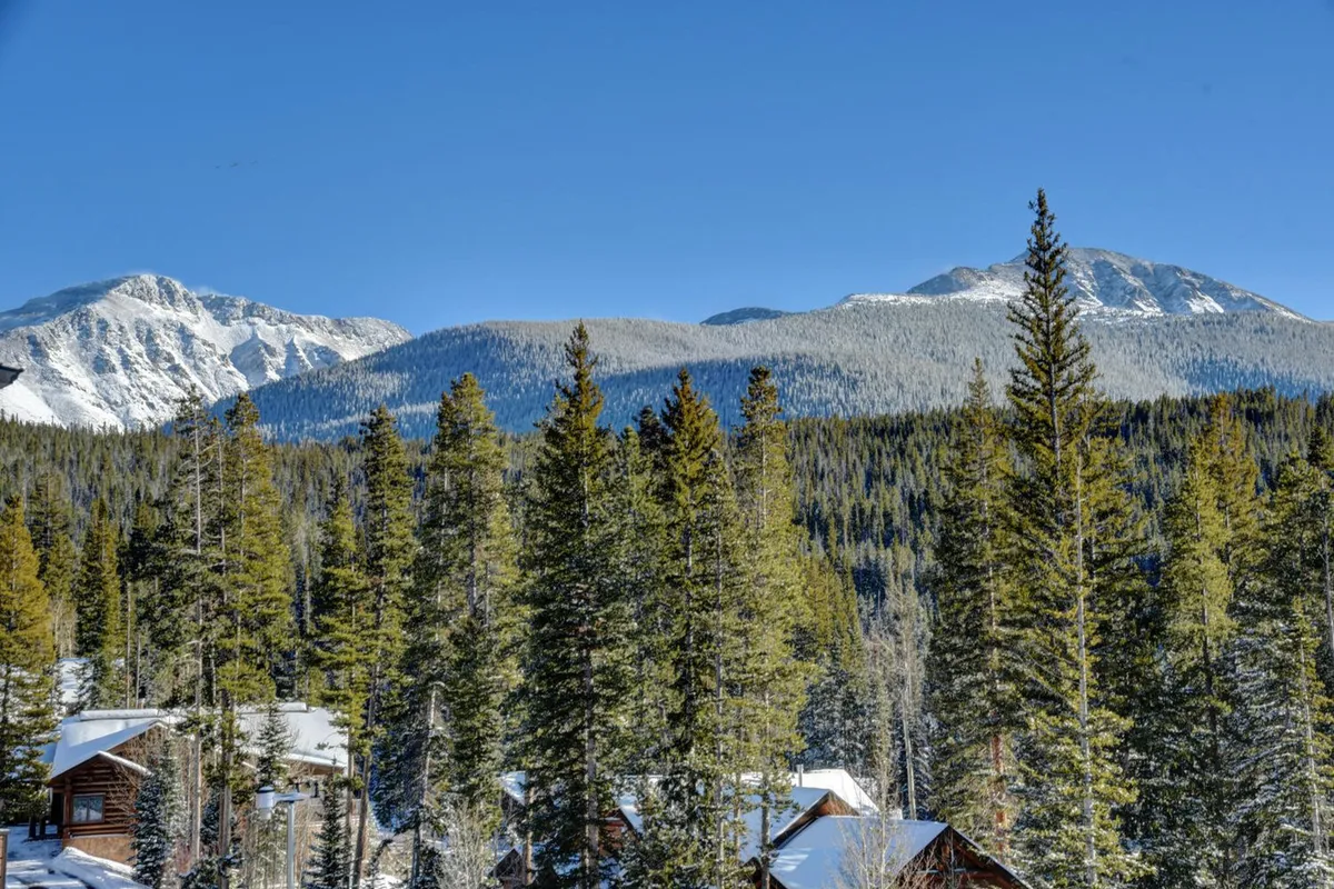 A sweeping exterior view of snowy mountains, dense evergreen forests, and cabins nestled among the trees. The scene exudes serenity and adventure, hinting at activities like hiking, skiing, and stargazing that are available right outside the door.