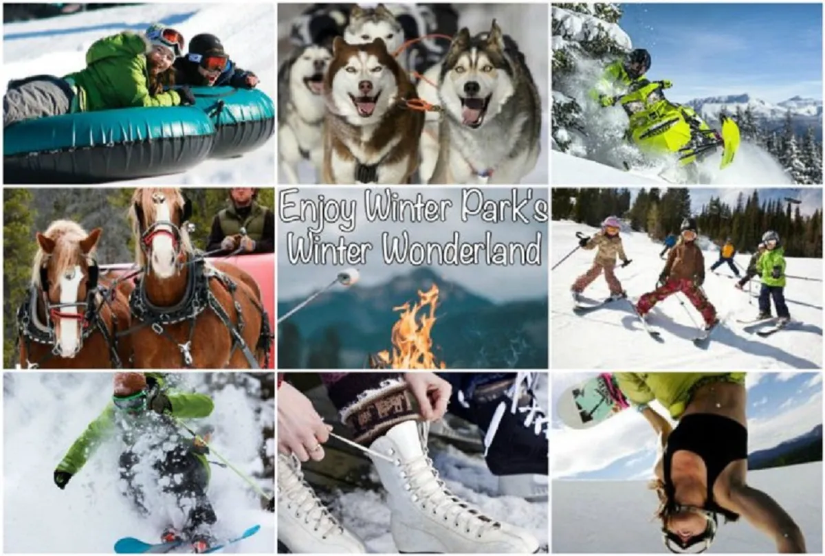 This vibrant wintertime scene captures people snow tubing down a slope, a pack of huskies pulling a sled, snowboarders in action, children playing gleefully in the snow, and a group gathered around a fire pit. Ski and snowboarding gear are visible, emphasizing the excitement of snowy adventures.
